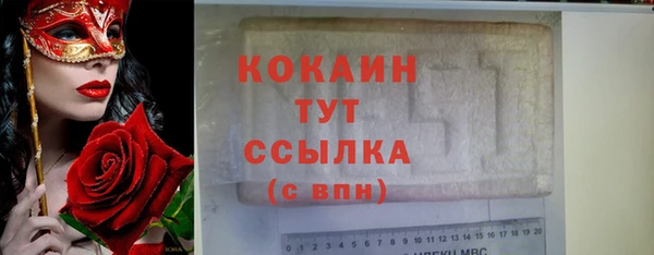 прущие грибы Богданович