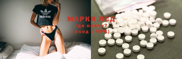 прущие грибы Богданович