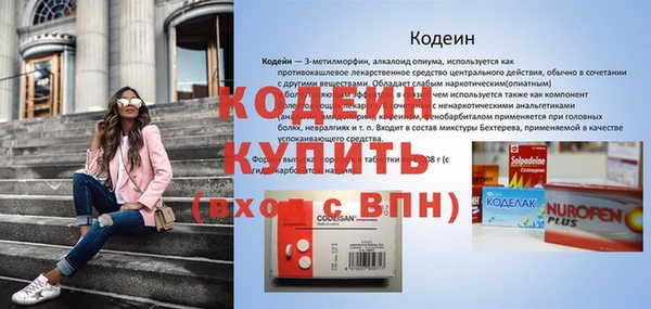 прущие грибы Богданович