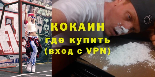 прущие грибы Богданович