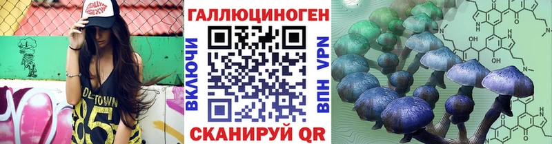 где найти   Южноуральск  Галлюциногенные грибы Psilocybine cubensis 